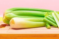 Celery, Ache, Celery Seed, Marche, Marsh Parsley, Smallage, Smalledge, Sweet Parsley, Venus's Herb, Wild Celery